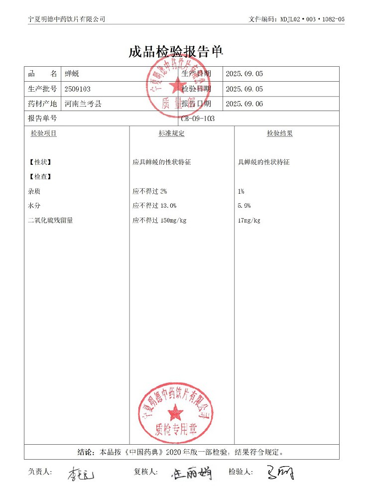 2509103蟬蛻.jpg