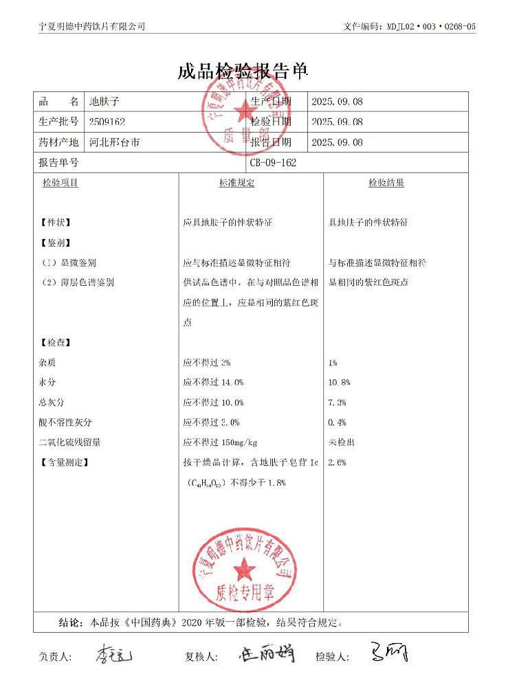 2509162地膚子.jpg